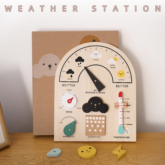 Emerson Weather Station
